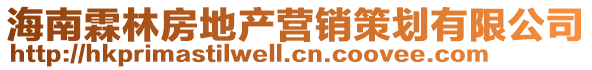海南霖林房地產營銷策劃有限公司