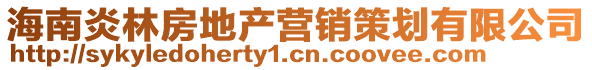 海南炎林房地產營銷策劃有限公司