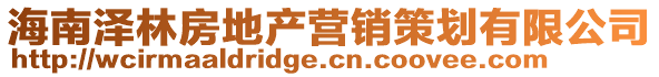 海南澤林房地產營銷策劃有限公司