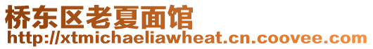橋東區老夏面館