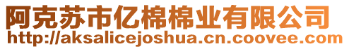 阿克蘇市億棉棉業(yè)有限公司