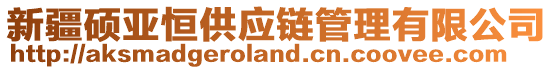 新疆碩亞恒供應(yīng)鏈管理有限公司