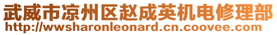 武威市涼州區(qū)趙成英機電修理部