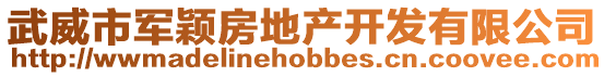 武威市軍穎房地產(chǎn)開發(fā)有限公司