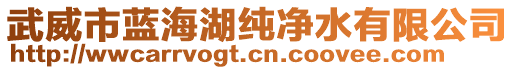 武威市藍(lán)海湖純凈水有限公司