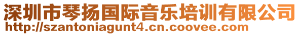 深圳市琴揚國際音樂培訓有限公司