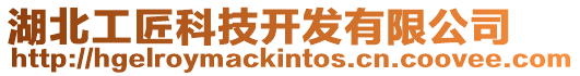 湖北工匠科技開發(fā)有限公司