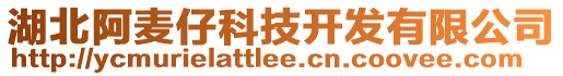 湖北阿麥仔科技開發(fā)有限公司