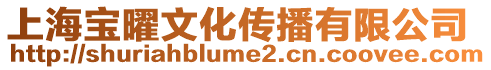 上海寶曜文化傳播有限公司