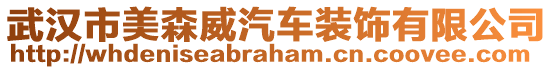 武漢市美森威汽車裝飾有限公司