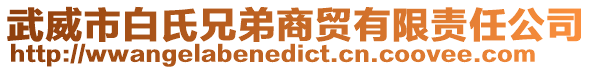 武威市白氏兄弟商貿有限責任公司