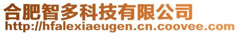 合肥智多科技有限公司