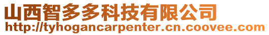 山西智多多科技有限公司