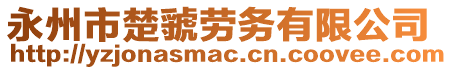 永州市楚虢勞務(wù)有限公司