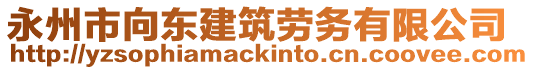 永州市向東建筑勞務有限公司