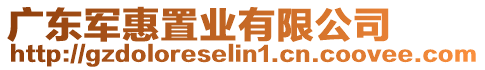 廣東軍惠置業(yè)有限公司