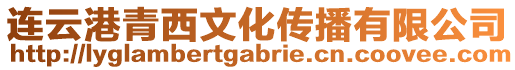 連云港青西文化傳播有限公司
