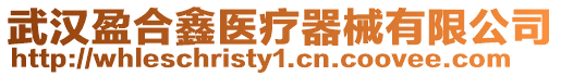 武漢盈合鑫醫療器械有限公司