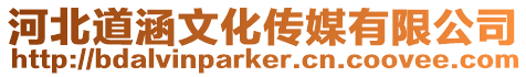 河北道涵文化傳媒有限公司
