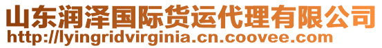 山東潤(rùn)澤國(guó)際貨運(yùn)代理有限公司