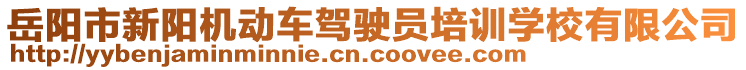岳陽市新陽機動車駕駛員培訓學校有限公司