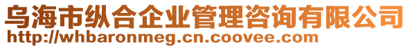 烏海市縱合企業(yè)管理咨詢有限公司