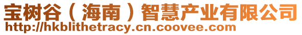 寶樹(shù)谷（海南）智慧產(chǎn)業(yè)有限公司