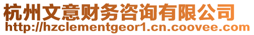 杭州文意財(cái)務(wù)咨詢有限公司