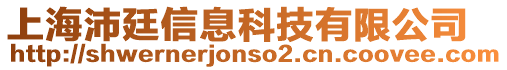 上海沛廷信息科技有限公司