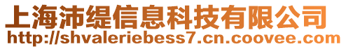 上海沛緹信息科技有限公司