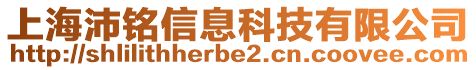 上海沛銘信息科技有限公司
