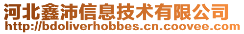 河北鑫沛信息技術有限公司