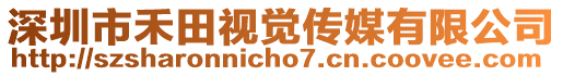 深圳市禾田視覺傳媒有限公司