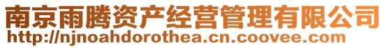 南京雨騰資產經營管理有限公司