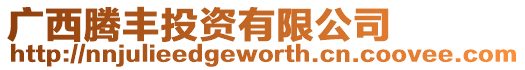 廣西騰豐投資有限公司