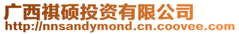 廣西祺碩投資有限公司