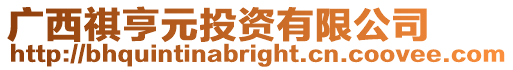 廣西祺亨元投資有限公司