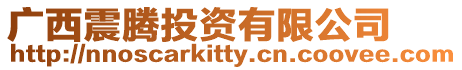 廣西震騰投資有限公司