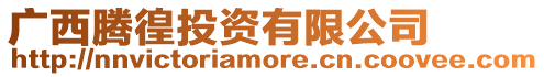 廣西騰徨投資有限公司