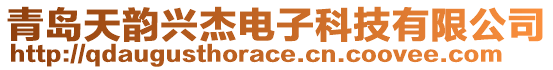 青島天韻興杰電子科技有限公司