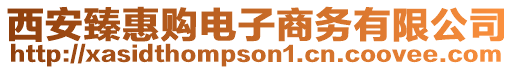 西安臻惠購電子商務有限公司