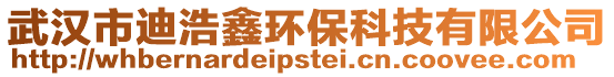 武漢市迪浩鑫環?？萍加邢薰? style=