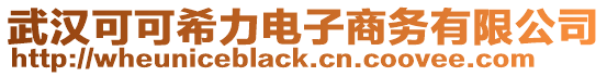 武漢可可希力電子商務有限公司