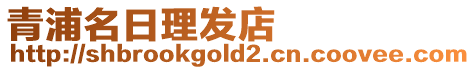 青浦名日理發(fā)店