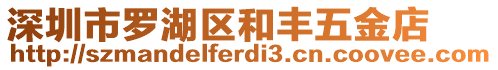 深圳市羅湖區和豐五金店