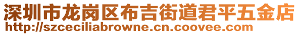 深圳市龍崗區布吉街道君平五金店