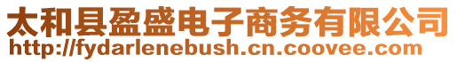 太和縣盈盛電子商務(wù)有限公司