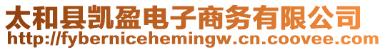 太和縣凱盈電子商務有限公司