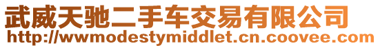 武威天馳二手車交易有限公司