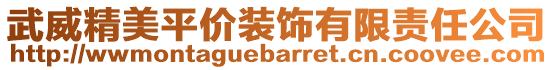 武威精美平價裝飾有限責任公司